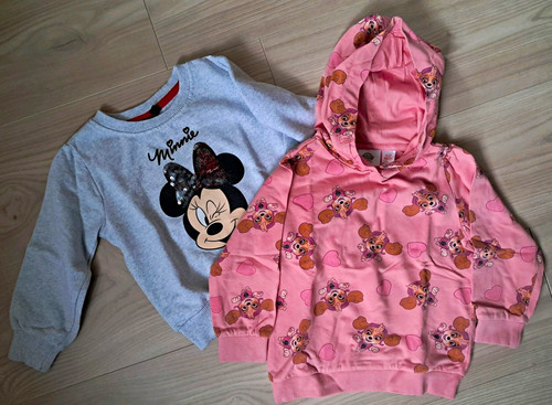 Paw patrol minnie mouse - patrol,
